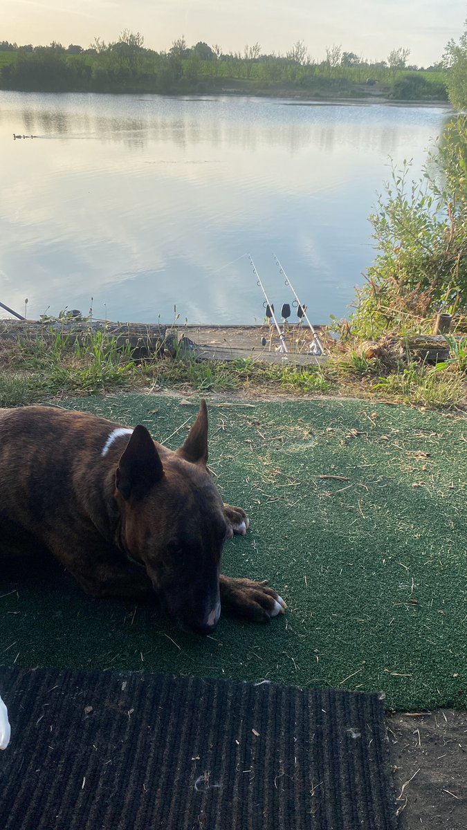 Shaun keane (@keane_shaun121) on Twitter photo 