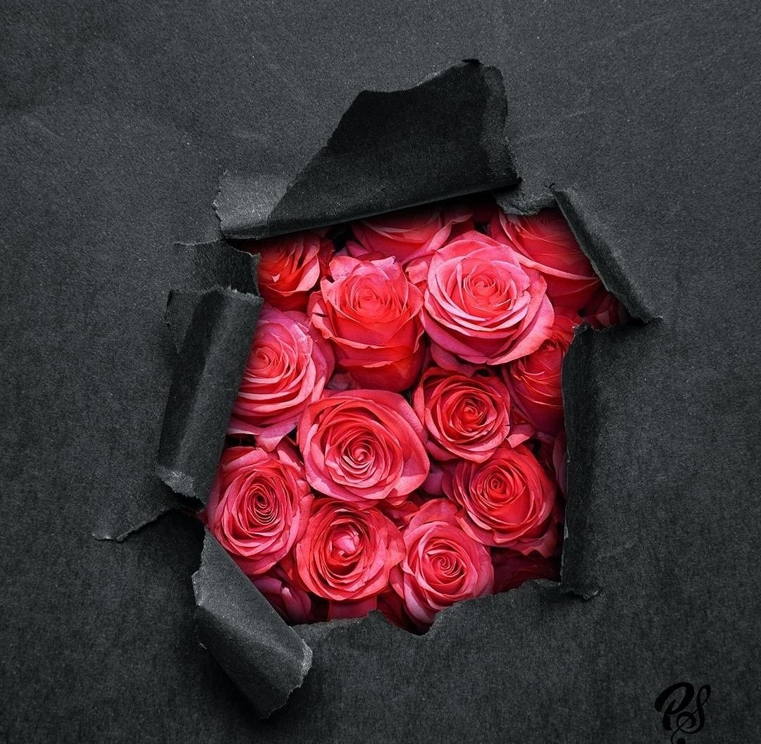 ❣️🌹❣️

"Il tempo non torna.
 Dove non puoi amare,
 non soffermarti."

~ Frida Kahlo ~

#SalaLettura #LaMisuraDelTempo