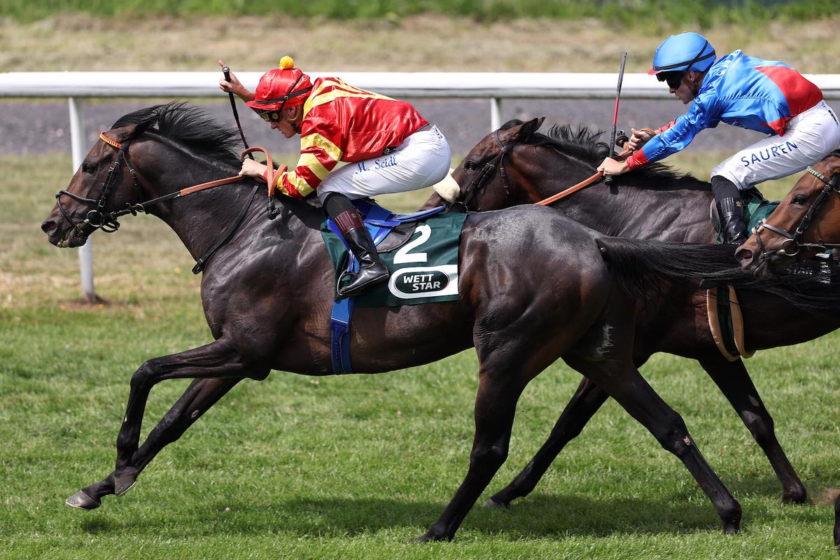 Best Lightning und Martin Seidl  haben in Dortmund den 36. Grossen Preis der Wirtschaft mit einem furiosen Finish gewonnen. zurl.co/78c11
#pferderennen #galopp #derbyfieber #dortmund