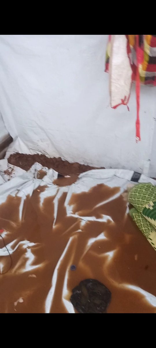 gofund.me/5361589a
If you respond with 3 replys, you will help me a lot to make my post visible to everyone, even if a dot.🙏Please donate to my campaign. I have not received any donations. 💔🙏 #LGBT #ActuallyAutistic #TransRightsAreHumanRights