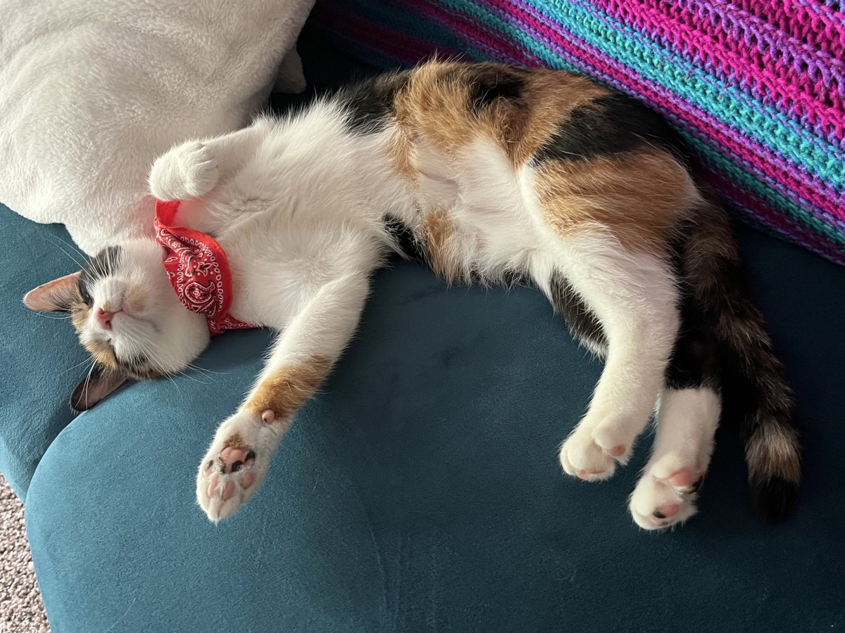 ZZZzzzZZZzzZzzz zz z