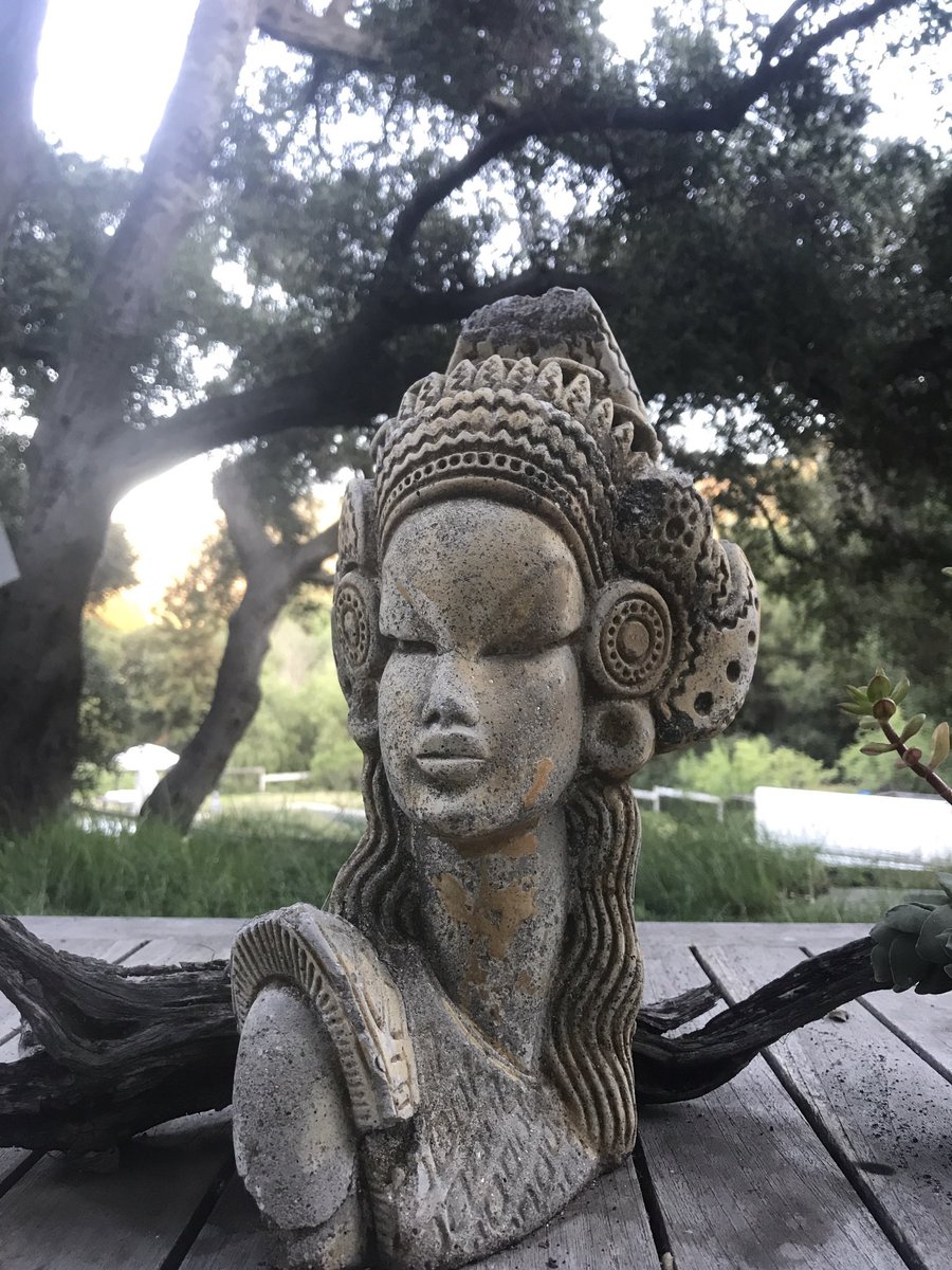 "🏝️🌲 Nature’s gallery just got weirder! A surreal sand sculpture hidden deep in the woods—who left this sandy masterpiece? #ForestMagic #EphemeralArt #UnusualFinds #FrameworksStudios 📸 Follow @FrameworksStudios for more offbeat wonders! ✨🦊