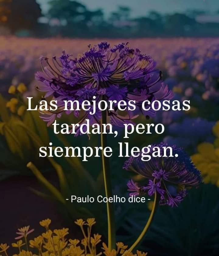 VidaEquilibrada (@vidaequilibrad4) on Twitter photo 