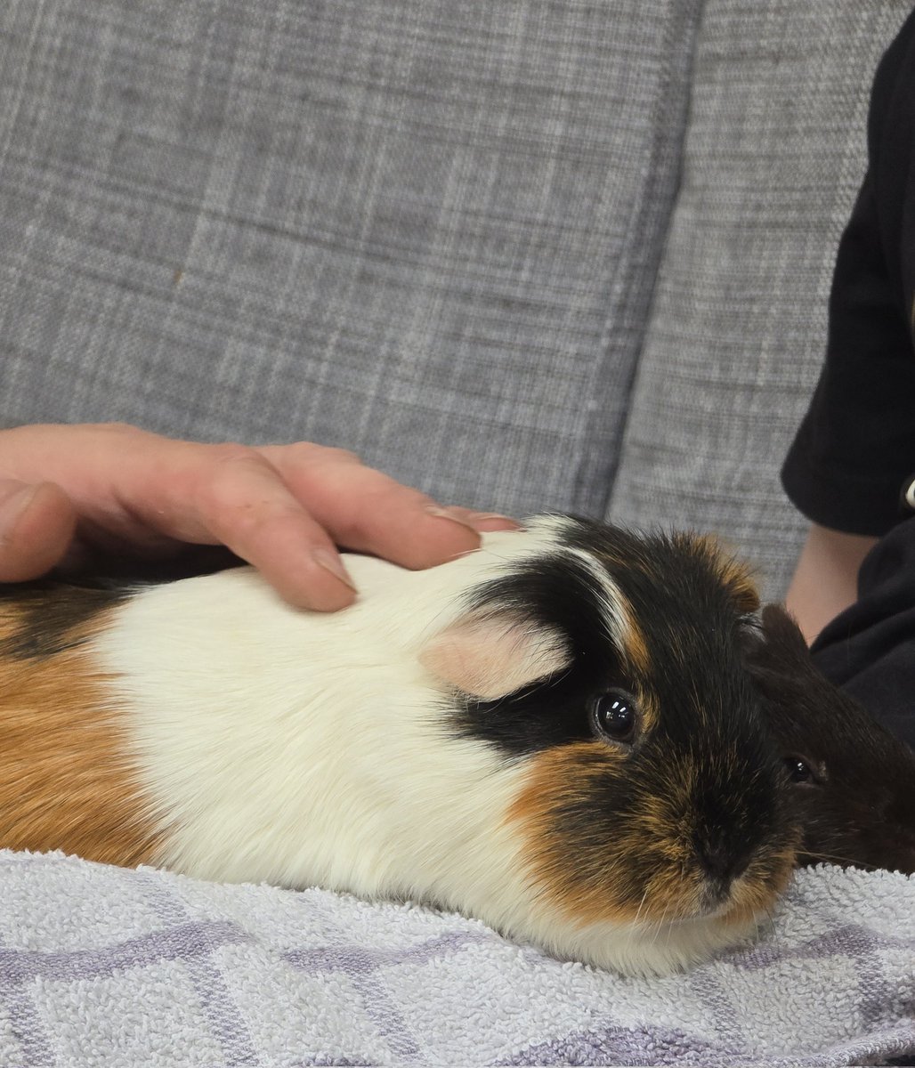 Emily Perkins 👑 🏹 tweet media