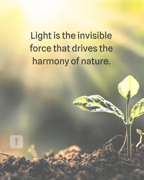 Kabbalahinfo's tweet photo. Light is the invisible force that drives the #harmony of nature.

To learn more about #kabbalah, join a free online course at KabU >>  https://t.co/qHCYtqkPCK

#forcesofnature #balance #upperforce #love #bestowal https://t.co/5Hg1QfBAy9