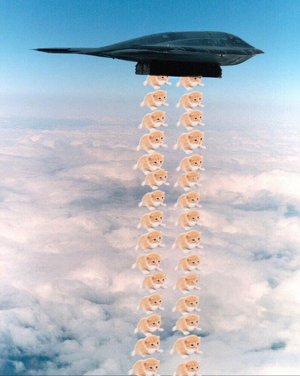 Deploy more Gary’s less bombs

Praying for peace though for real🩵

<a href="/higary__/">gary</a>