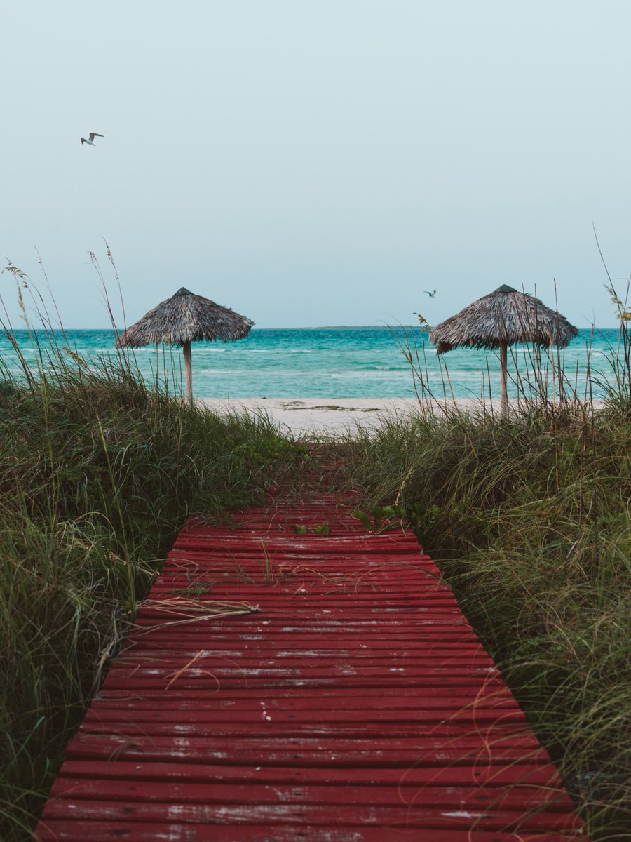 𝐏𝐚𝐛𝐥𝐨 𝐌 tweet media