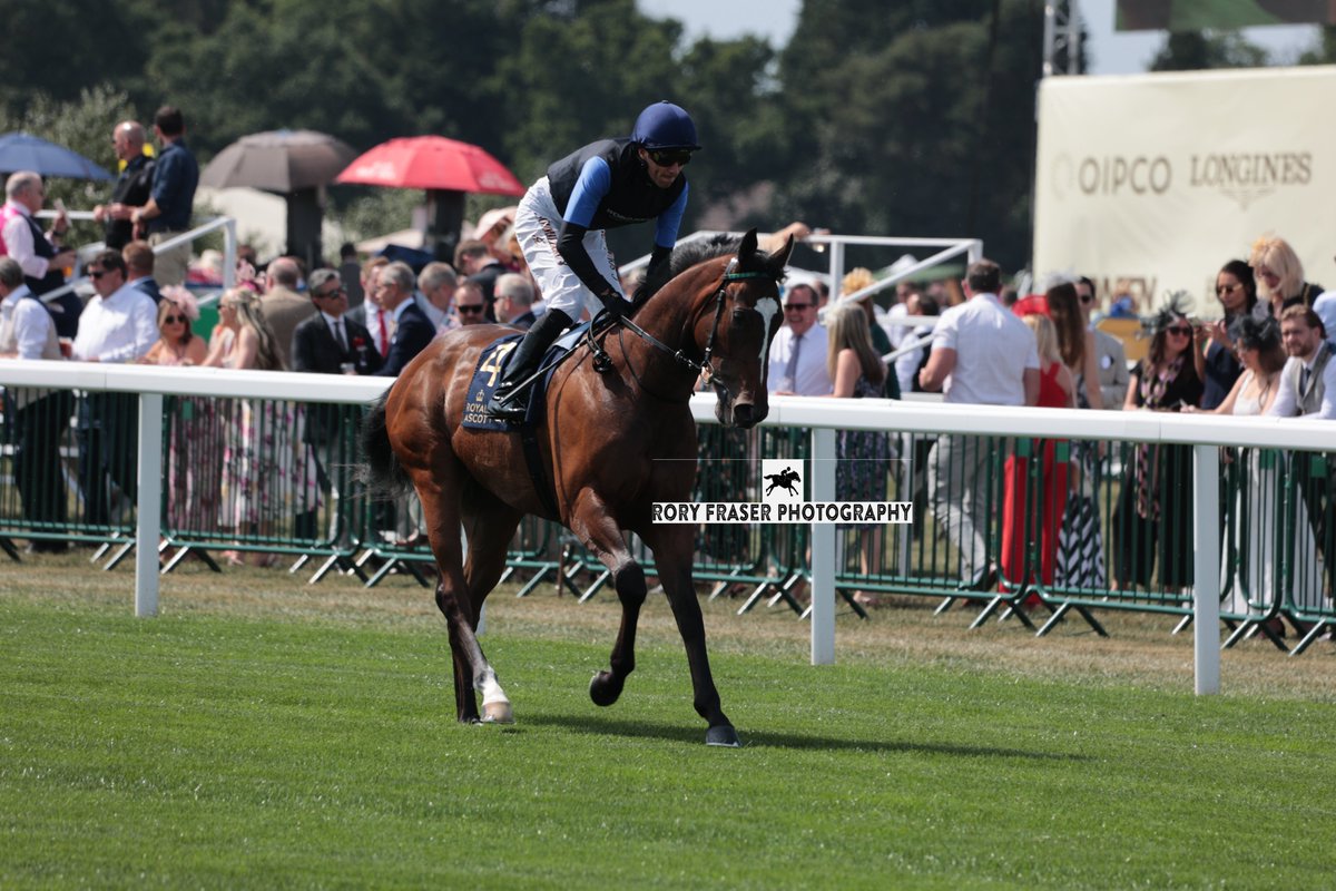 Rory Fraser Photography🤘 (@92roryf) on Twitter photo BONE MARRA (Starman x Pyrenean Queen) at Royal Ascot on Tuesday for the Group Two Coventry Stakes (6f)
Trained by <a href="/OllieSangster/">Ollie Sangster</a> and owned by <a href="/PompeyVentures/">PompeyVentures</a>.
An winner on debut at Wolverhampton in extraordinary style. BONE MARRA (Starman x Pyrenean Queen) at Royal Ascot on Tuesday for the Group Two Coventry Stakes (6f)
Trained by <a href="/OllieSangster/">Ollie Sangster</a> and owned by <a href="/PompeyVentures/">PompeyVentures</a>.
An winner on debut at Wolverhampton in extraordinary style.