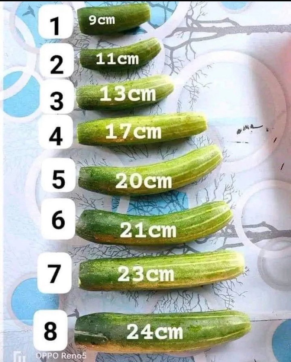 Maduraenlamonotonia tweet media