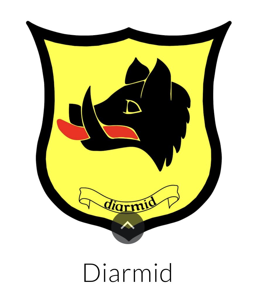 Delighted to say that from August I’ll be stepping up as DHT for Diarmid Clan at Oban High School. 💛💛💛
Can’t wait to get started.