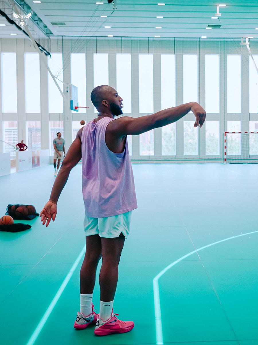 Charlotte Hornets tweet media