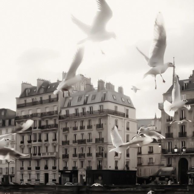 REINER JOEL. tweet media