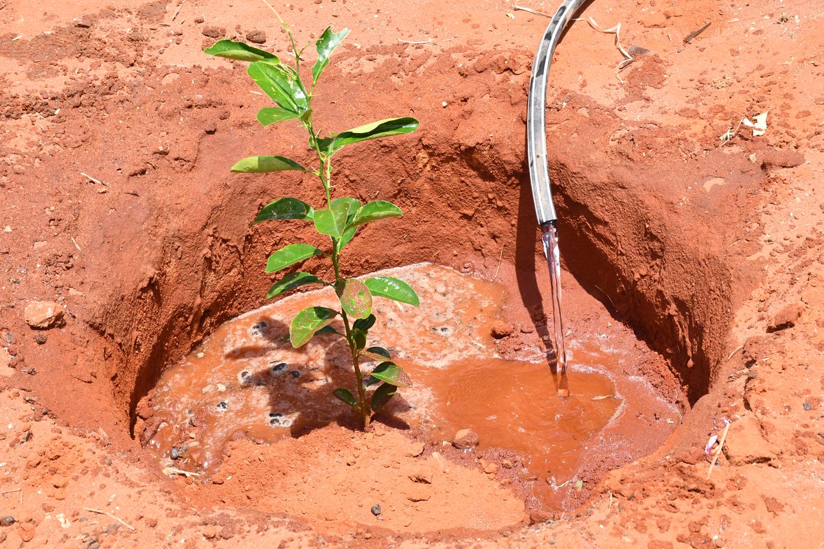 Global Sustainability Alliance (GSA) tweet media