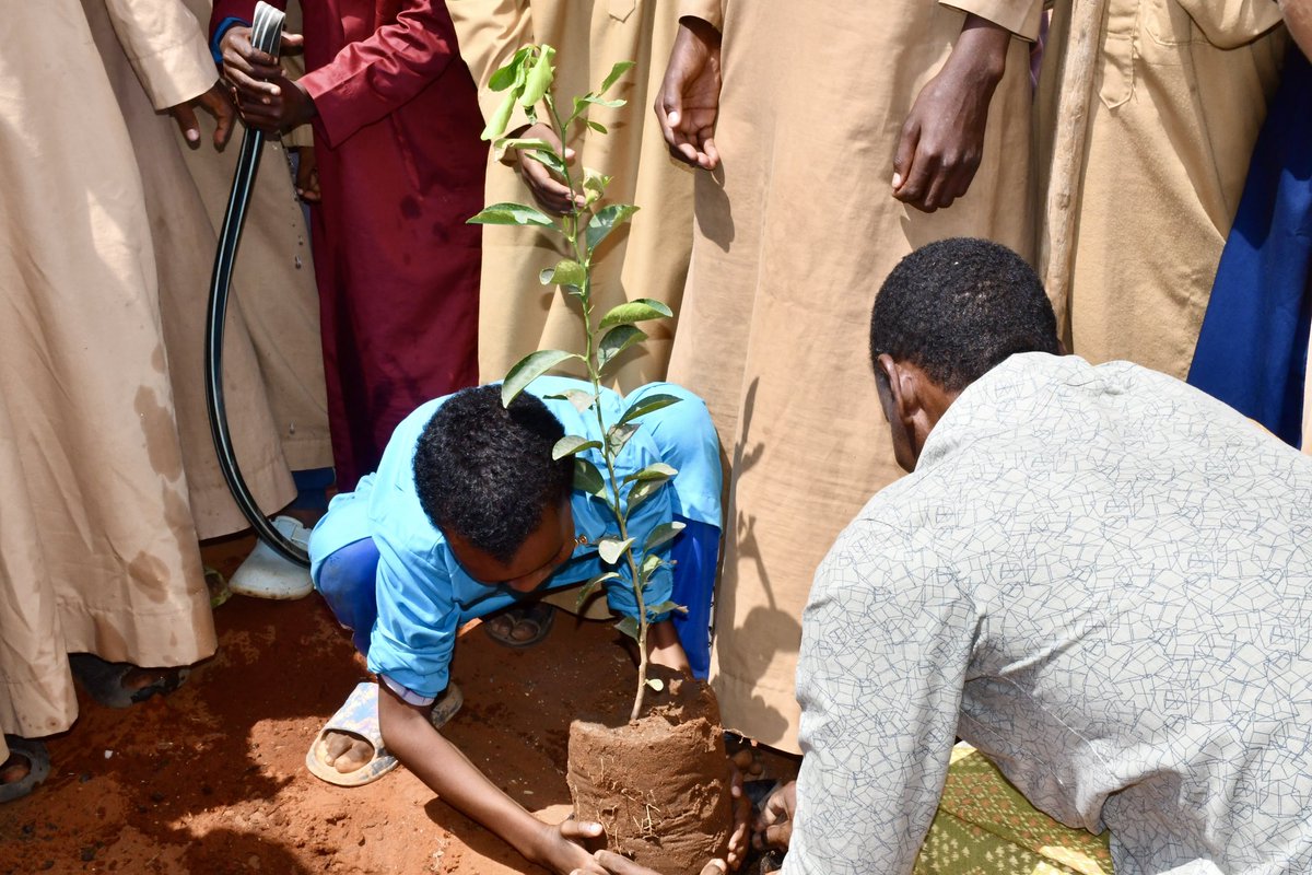 Global Sustainability Alliance (GSA) tweet media