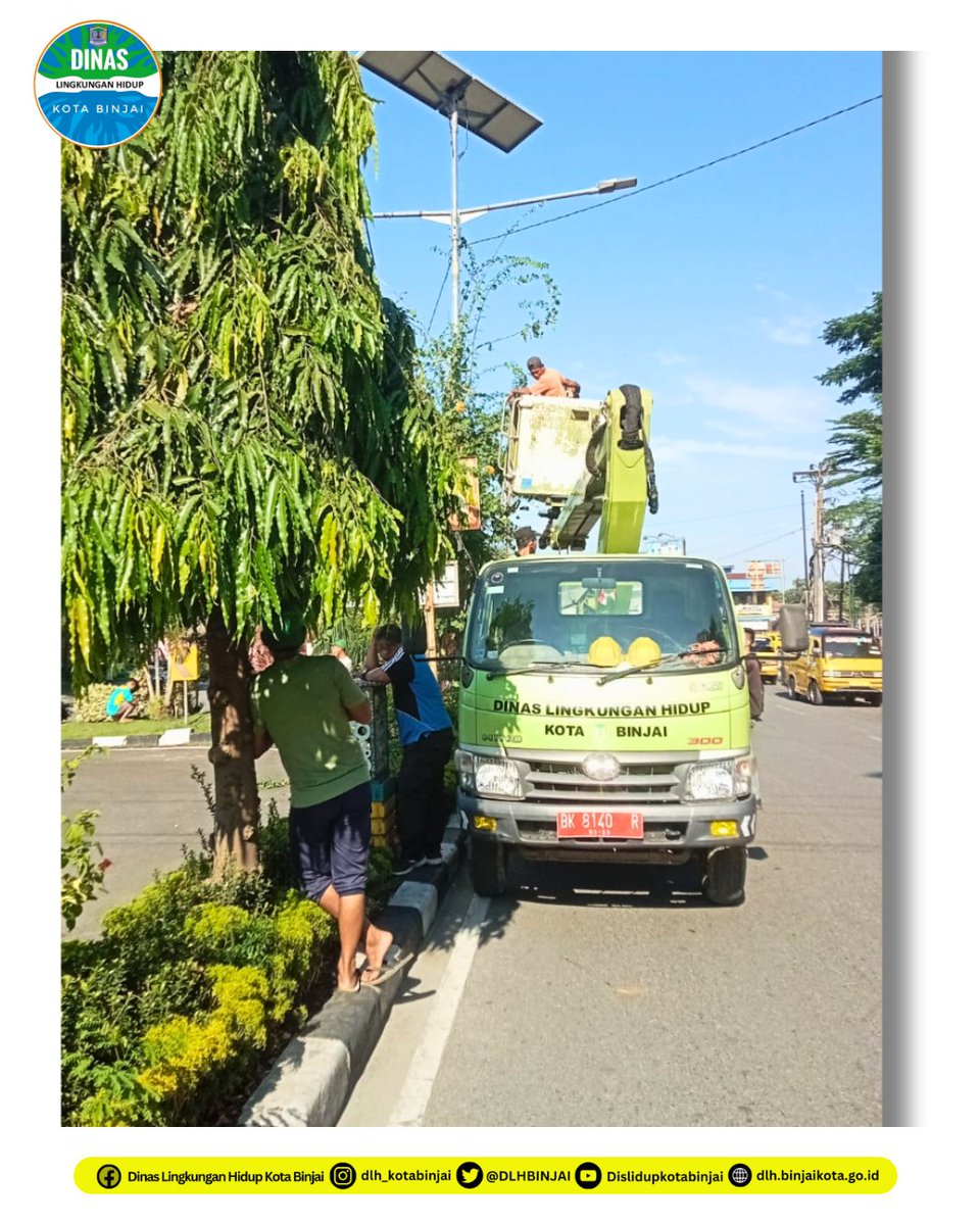 DLHBINJAI's tweet photo. Kegiatan DLH hari ini, Kamis, 19 Juni 2025.

#dlhbinjai #lingkunganhidup #kotabinjai #pemangkasanpohon https://t.co/Qno8Xx2FGT