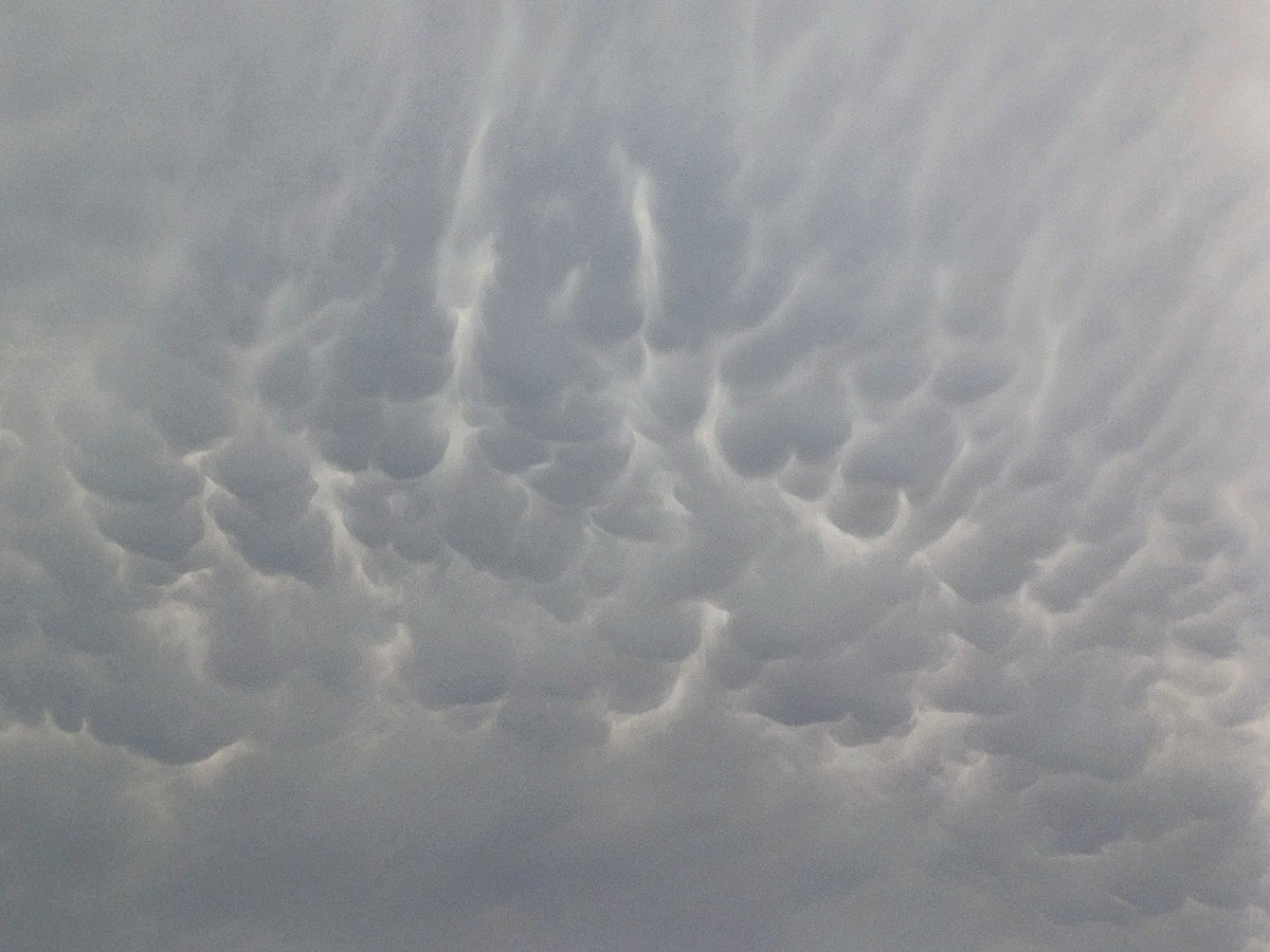 Mammatus.
<a href="/apuntoratge/">À Punt Oratge</a> <a href="/oratgenet/">Oratgenet Jordi Payà</a>