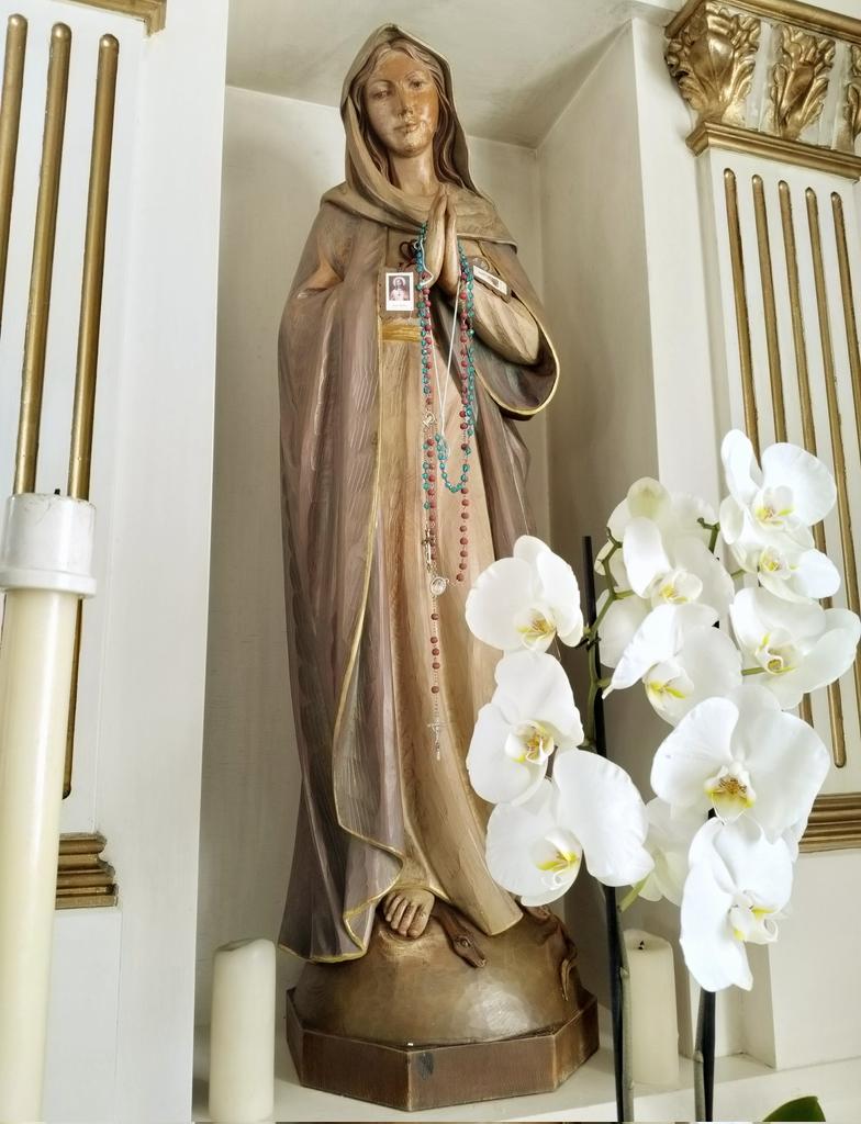 Whilst visiting Our Lady's in Great Billing I met a priest called Fr Brendan. When he asked my name  he recognised it and the LOUDfence. During our conversation he said Fr Damien was a safeguarding pioneer. He was one of the first priests to raise the need for safety checks for