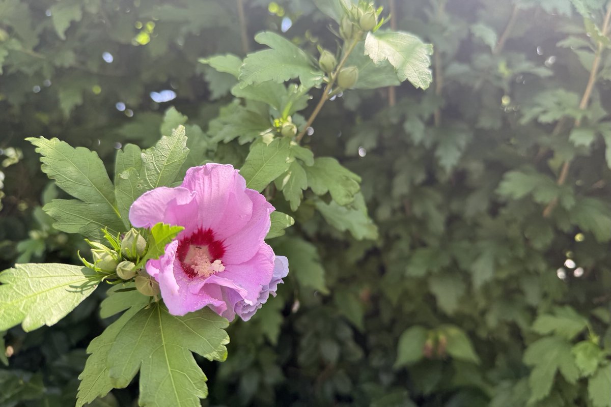 Sam Oldenburg tweet media