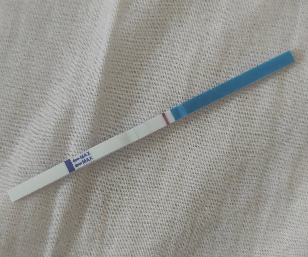 Chicas, a 5 DPT, decidme que veis algo y no estoy loca. ¡Una rayita fantasma!
Sé que es pronto pero ayer tuve un disgusto por una cosilla familiar, y no me aguanté. 🙏🏻
#infertilpandy
