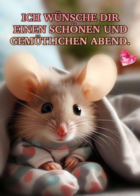 Gute Nacht, Gemeinde. Noch einen schönen Abend, eine ruhige Nacht und keine Albträume. Kommt gut in den Montag