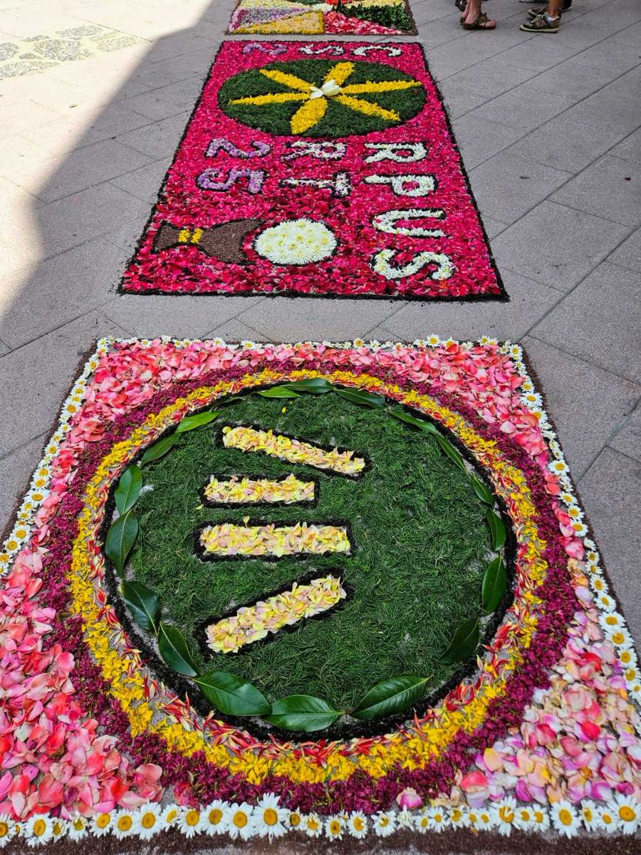 bibliosort's tweet photo. 😍 Moltíssimes gràcies a l'associació #Redort de Sort i tots els veïns que han col·laborat en aquestes magnífiques catifes de flors on hi hem estat presents amb el logo creat per @NeusHuguet, no tenim paraules! https://t.co/wShY3BJLz1 @ajuntamentsort @bibliotequeslle https://t.co/ZzmTKVIPsR