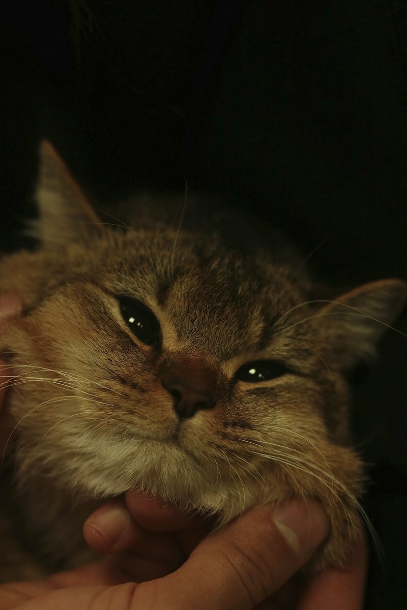 RadioUNAM's tweet image. &quot;Cuando te acaricié me di cuenta que había vivido toda mi vida con las manos vacías.&quot;
— Alejandro Jodorowsky