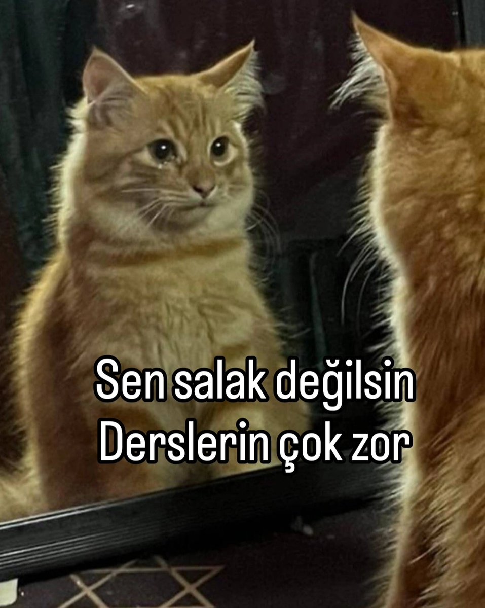 Finaller öncesi hatırlatma:
