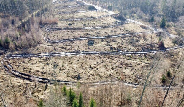 tichyseinblick.de/kolumnen/licht…
Das ist übrigens der Märchenwald der Gebrüder Grimm (Reinhardswald in Nordhessen) , bzw was von ihm übrig blieb.
Da kommen jetzt 14 von den #Gruenen genehmigte 240m hohe Windräder hin.
Wegen Umweltschutz u Klima u so ☝🏻