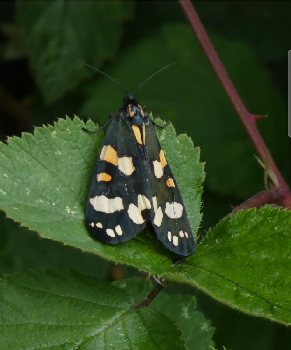 Graham Connolly tweet media