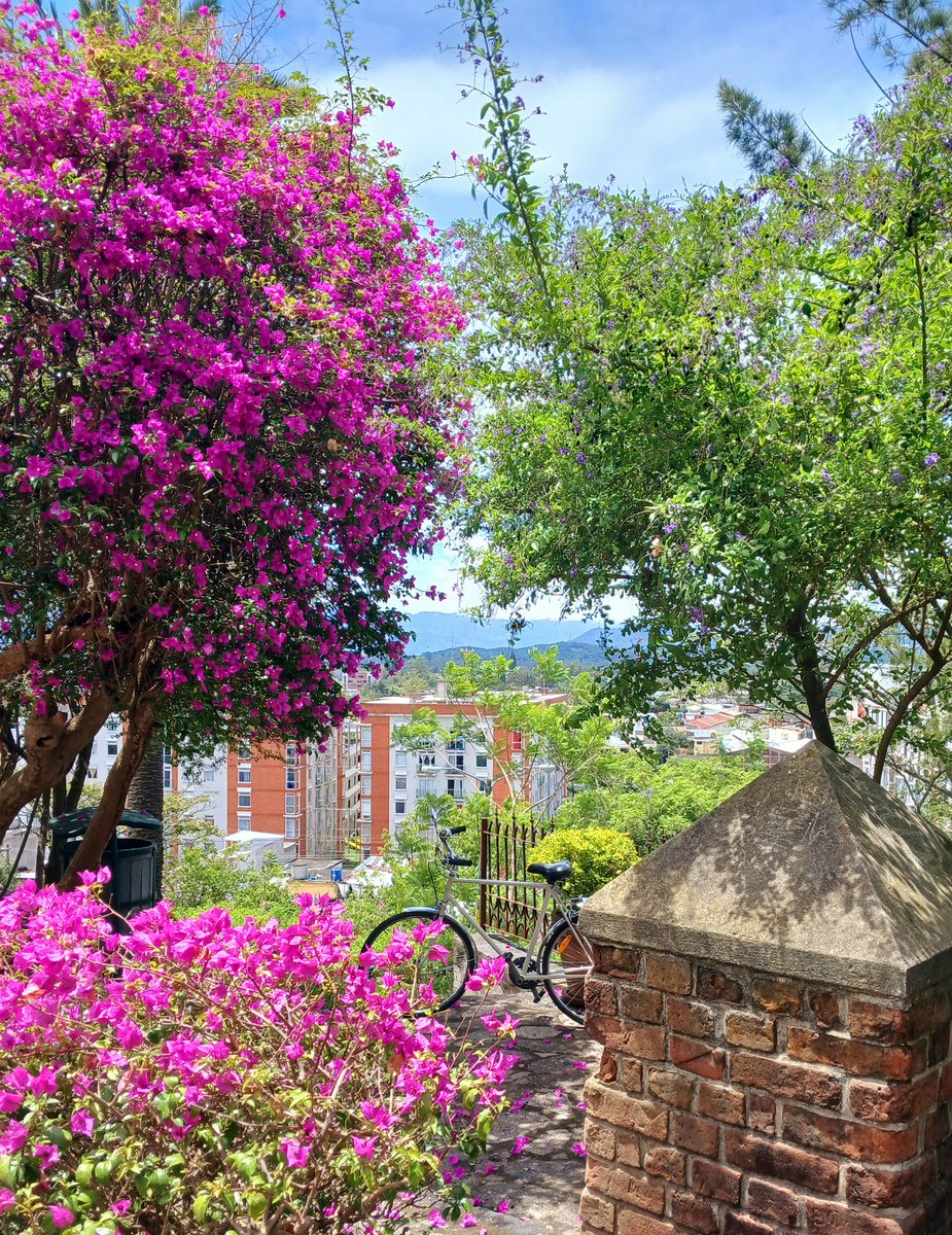 Today is a lovely day