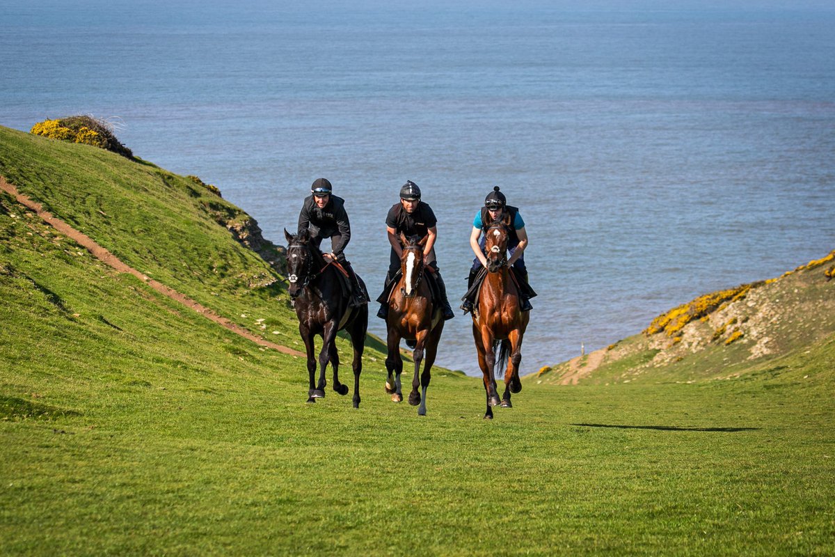 Christian Williams Racing tweet media