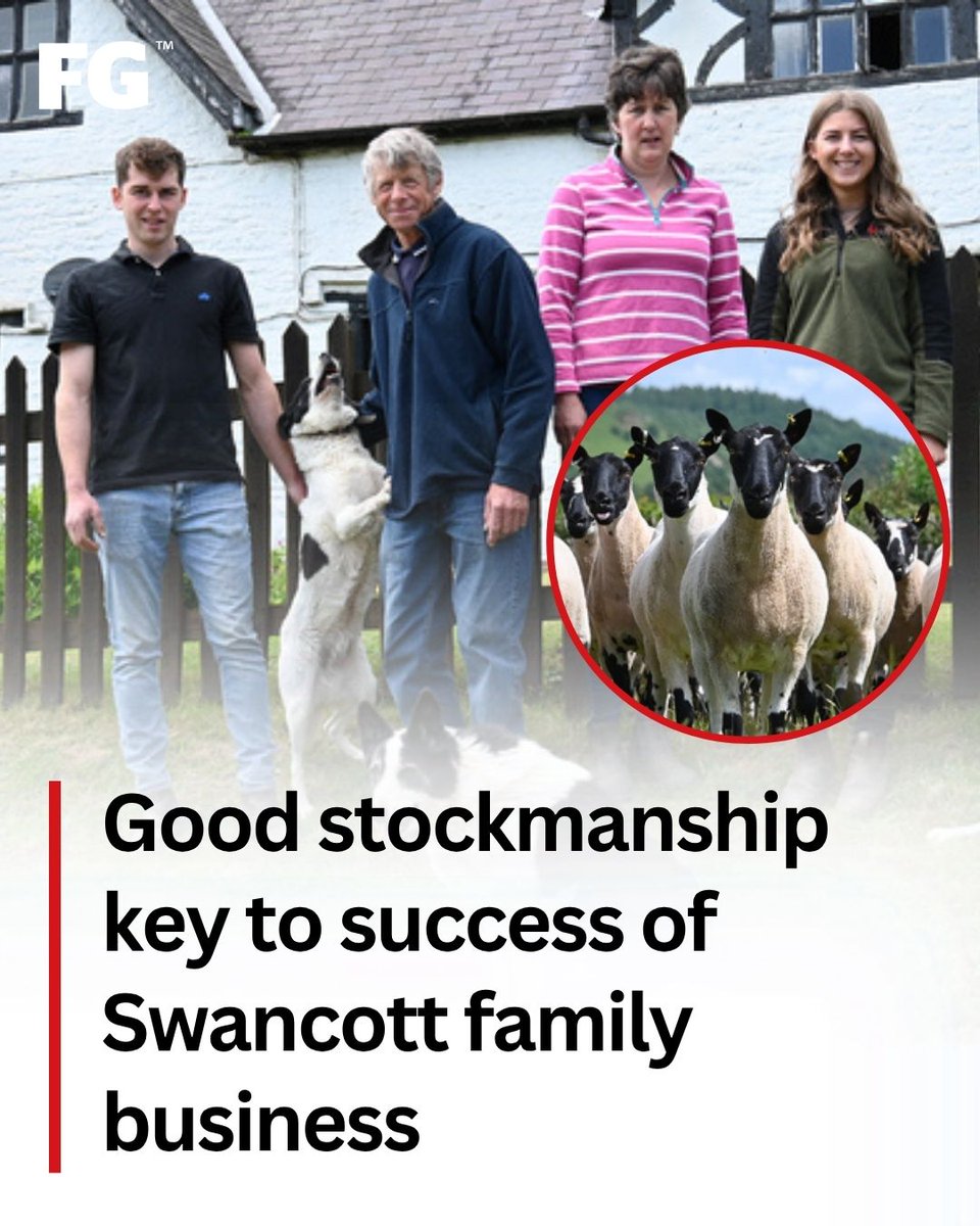 Traditional values ✅
Teamwork ✅
Quality breeding ✅

Just some of the notable attributes that amount to a fifth-generation farm business working in harmony.

Phillip and Emma Swancott alongside their children produce quality, hardy sheep.

READ MORE: farmersguardian.com/feature/441438…