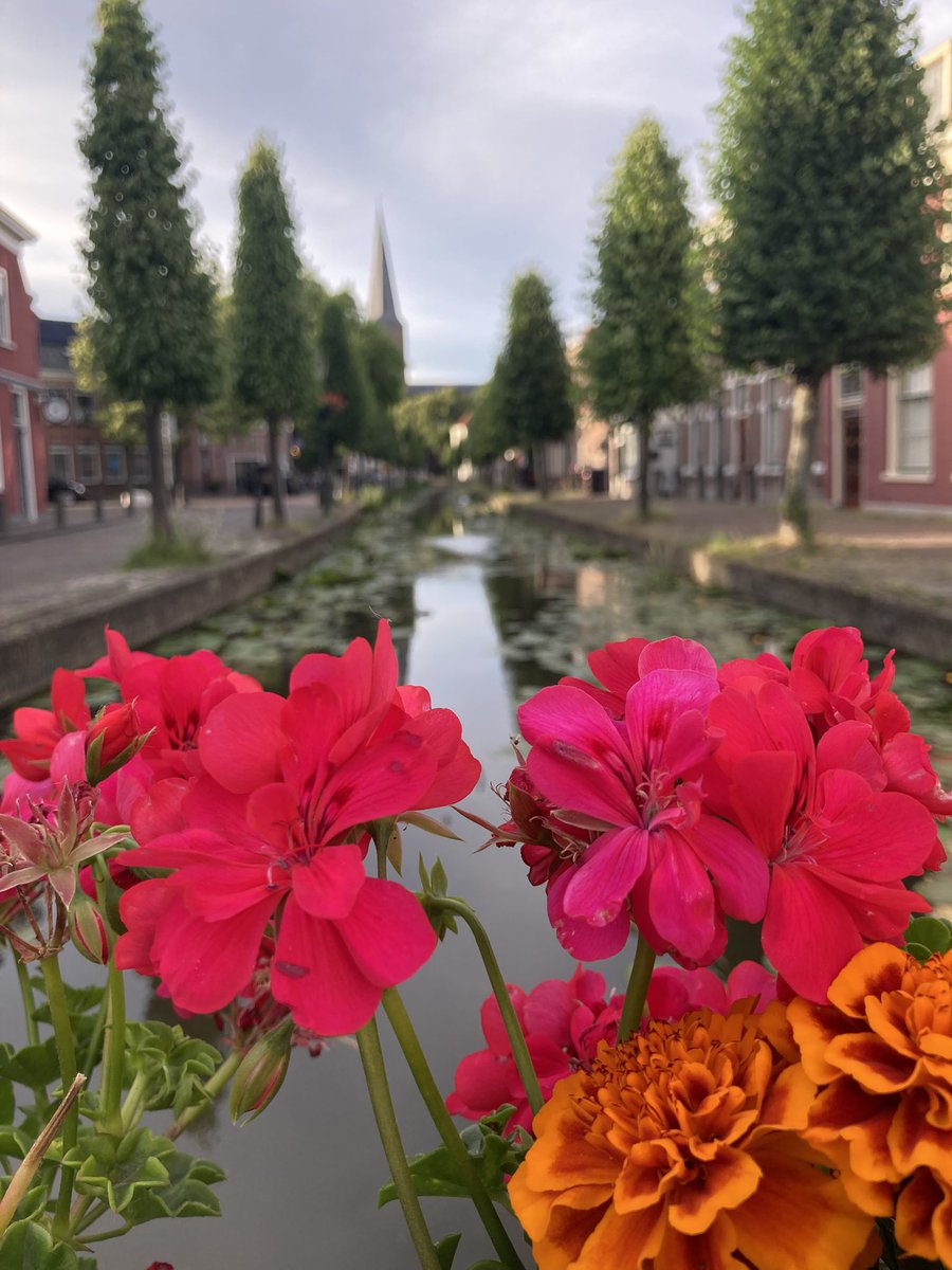 📸 | Mooie avond! #Maasland