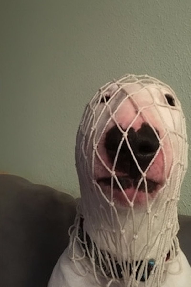 <a href="/conviction_meta/">Convision</a> wWALTER