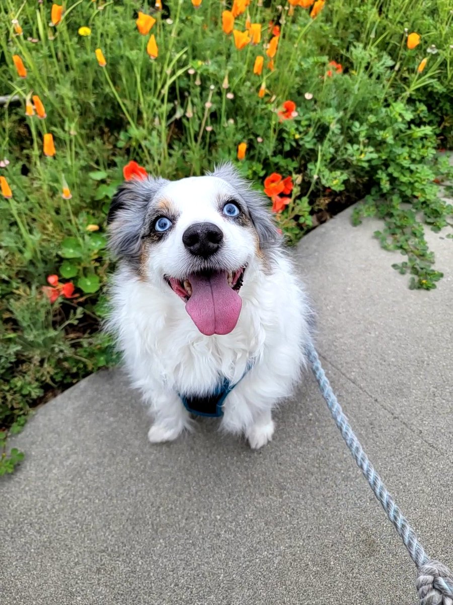 Isaac CB tweet media