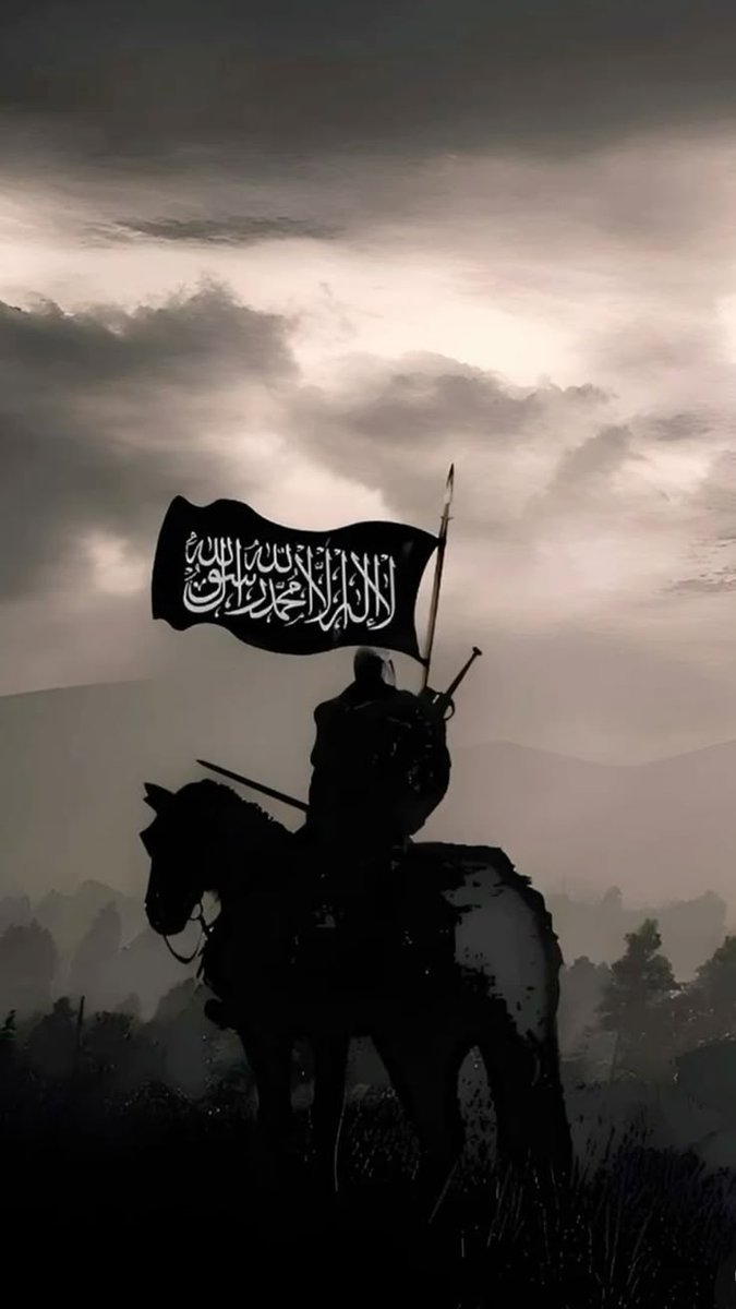 Zohaibbh tweet media