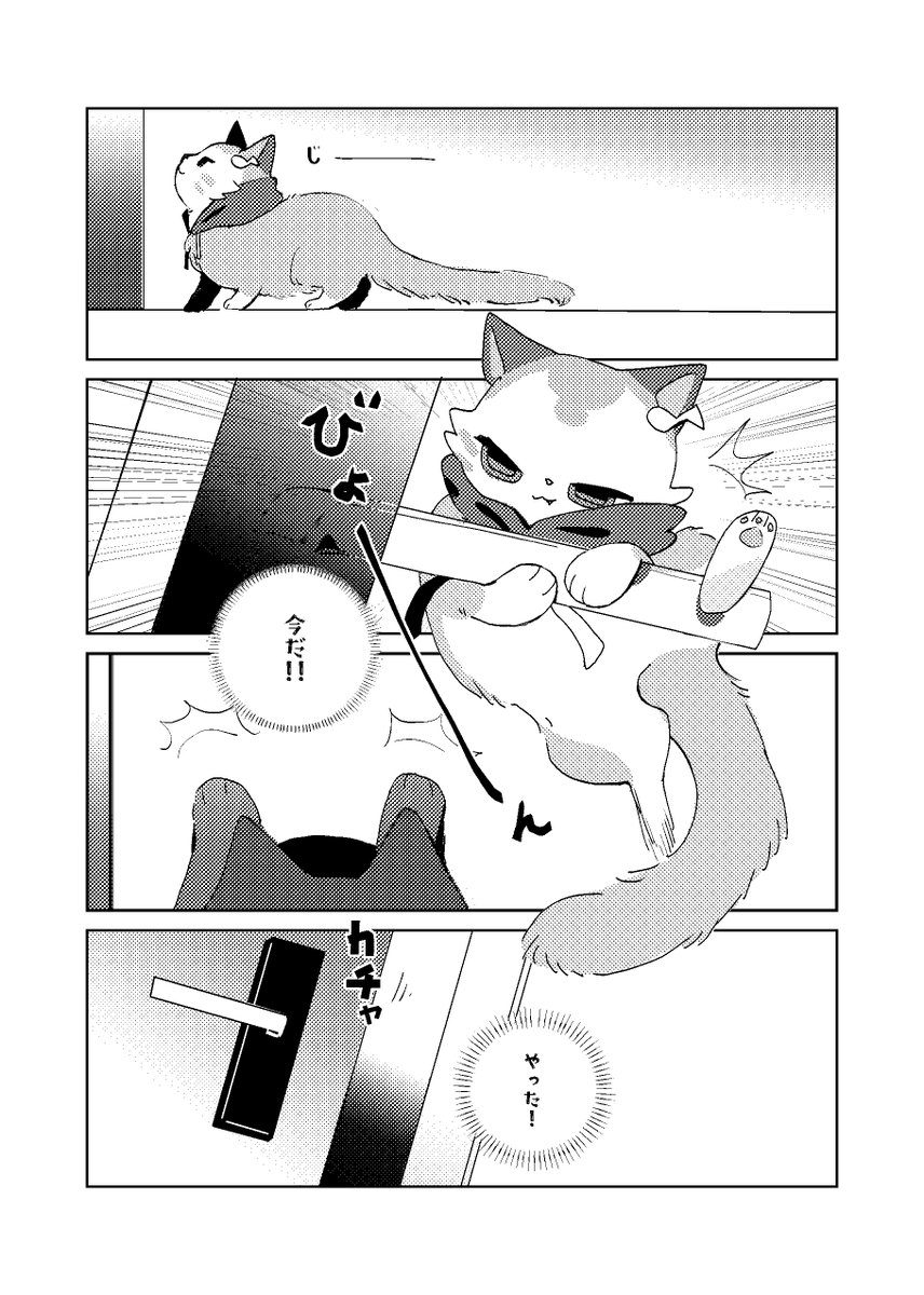 cube_33333's tweet photo. (2/3) https://t.co/HPE3AWW6Db