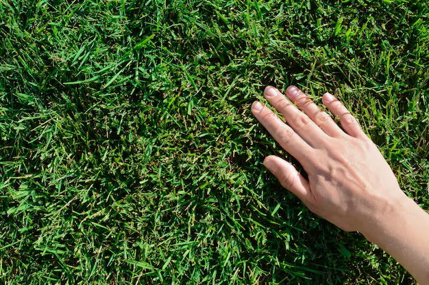 #openseatouchgrass