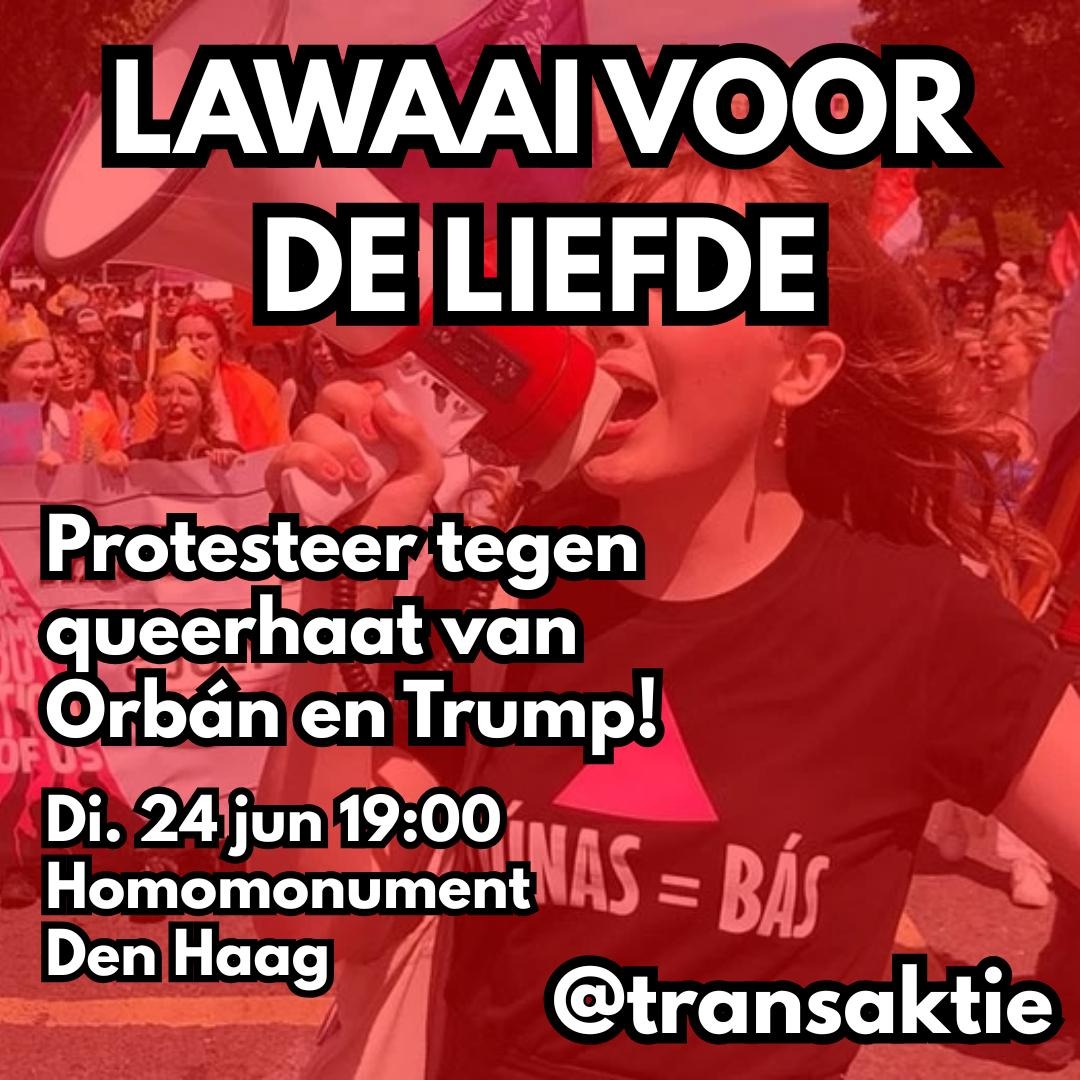 TransAktie steunt het protest van <a href="/COCNederland/">COC Nederland</a> en <a href="/amnestynl/">Amnesty NL</a> tegen de queerhaat van de president van de Verenigde Staten en de premier van Hongarije.

We staan solidair met onze queer kameraden in de VS en Hongarije, en realiseren dat het in Nederland de verkeerde kant op gaat.
