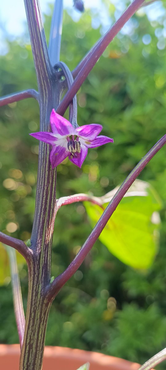 Bryn Carter tweet media