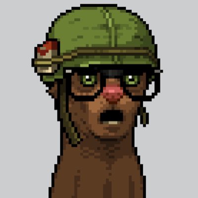In light of recent world chaos, it’s time to unleash my new Mong into the wild! #MongArmy $Mong 🪖