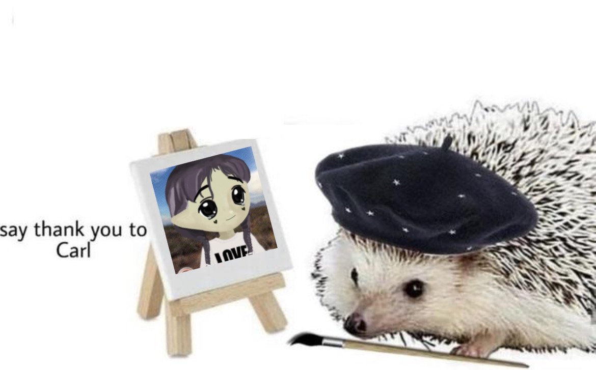 Carl The Hedgehog tweet media