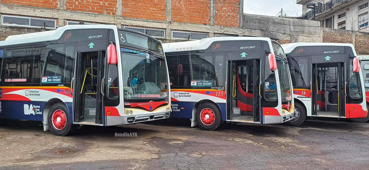 BondisATR's tweet photo. 3 #Nuovobus Cittá 0km para #Linea80 (16) y #Linea47 (115 y 101) https://t.co/mq0v62Um8k