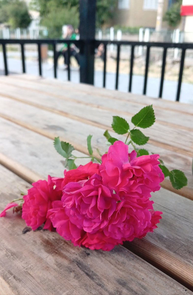 bugün tek otururken küçük bir kız çocuğu bana bunuu bıraktıı🥹