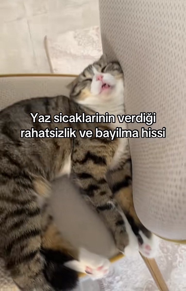 artikbisaIin's tweet photo. https://t.co/UimXqhoKdz