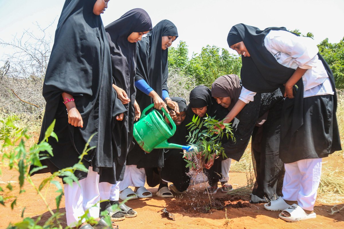 At the heart of climate resilience and empowerment—Media Citizens Front joins hands with Wajir Girls Secondary School in a powerful initiative blending mentorship, action, and growth. Over 800 students engaged. 100 trees planted. A step toward a greener, wiser tomorrow.