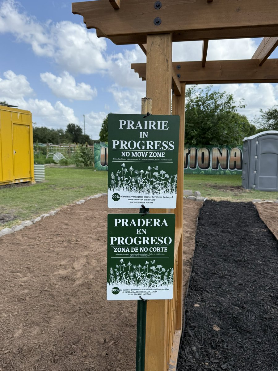 Progress at the Alief Community Garden Pocket Prairie! 

It takes a village. And here’s to more resilient and native infrastructure for Southwest Houston. Thank you to all who came out! 

<a href="/AliefVotes/">AliefVotes</a>
