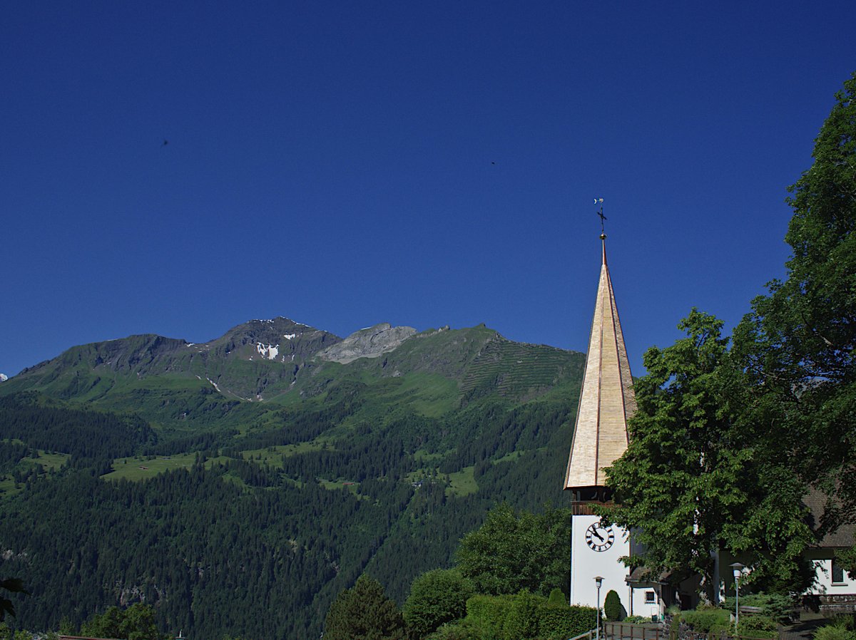 GreentoursUK's tweet photo. Today was already time to say goodbye to #Wengen, the beautiful Swiss #Alps and its alpine flowers… but we’ll definitely come back with @JuliaCorden https://t.co/W98tVnyhO1