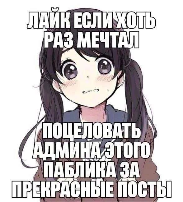 ринораш (@rhino_rush) on Twitter photo 