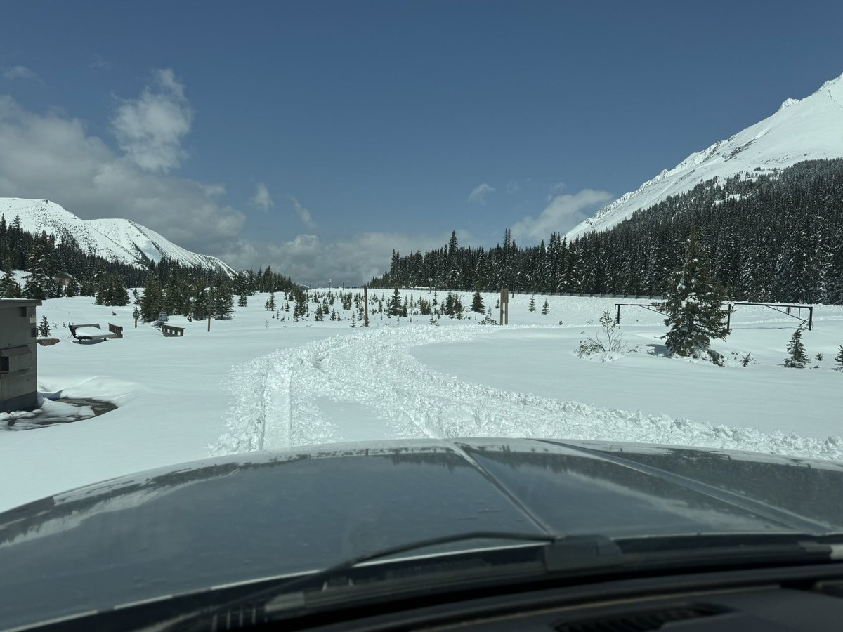 Tom Graham tweet media